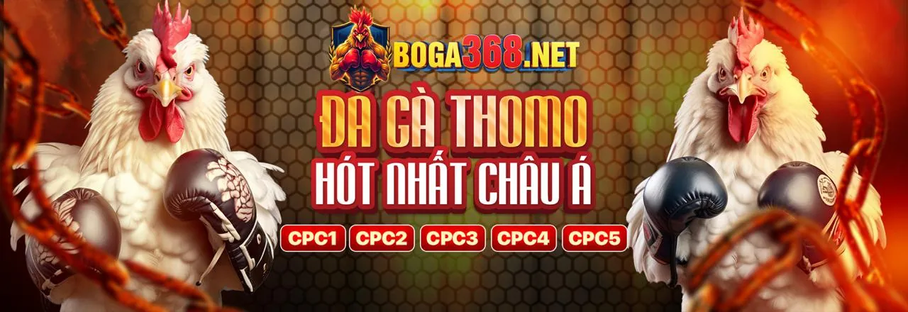 Đá gà trực tuyến qu88 - Các trận đấu gà kịch tính