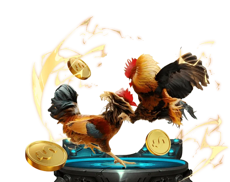 Điều khoản và điều kiện qu88